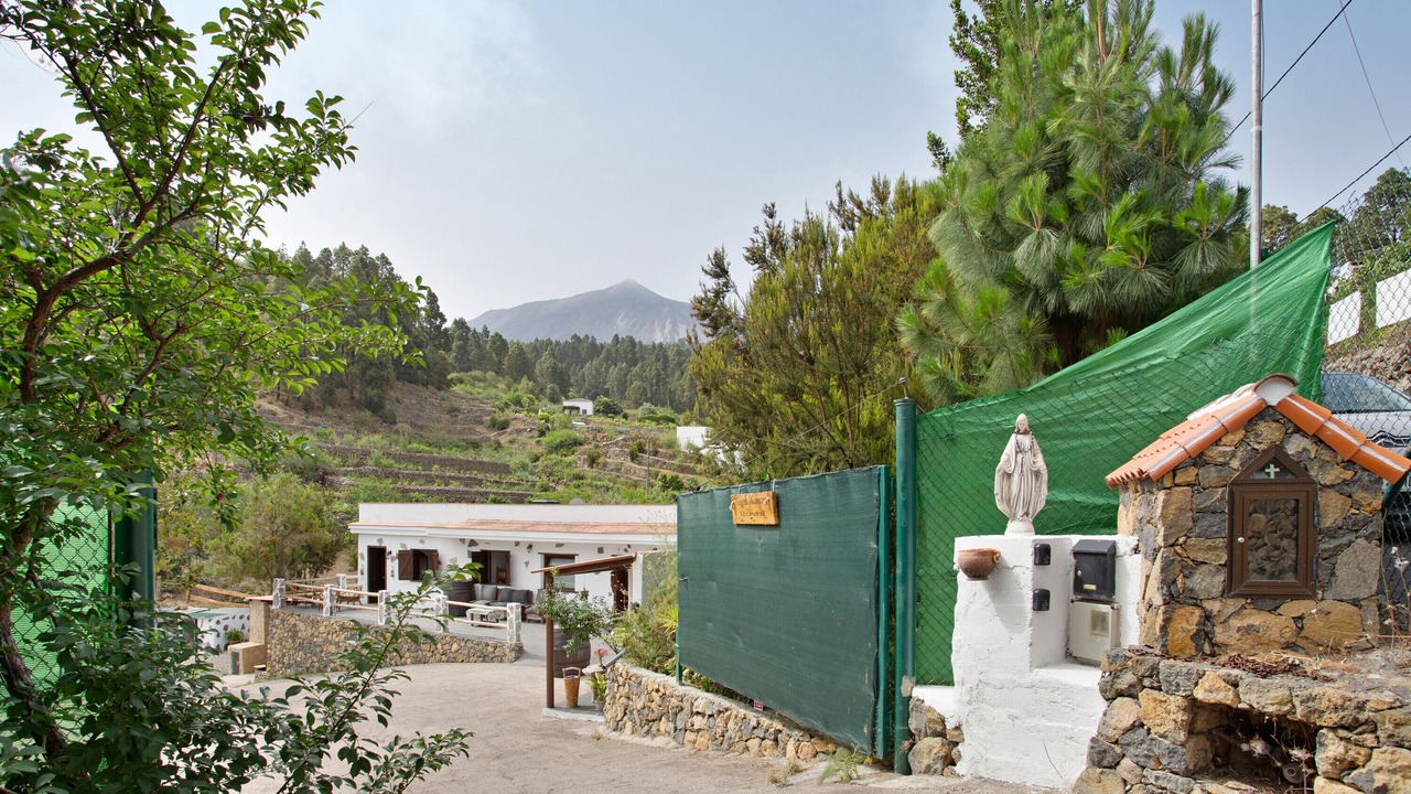 Photo of Others in Icod de los Vinos