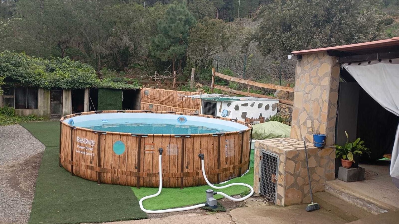 Photo of Outdoor in Icod de los Vinos