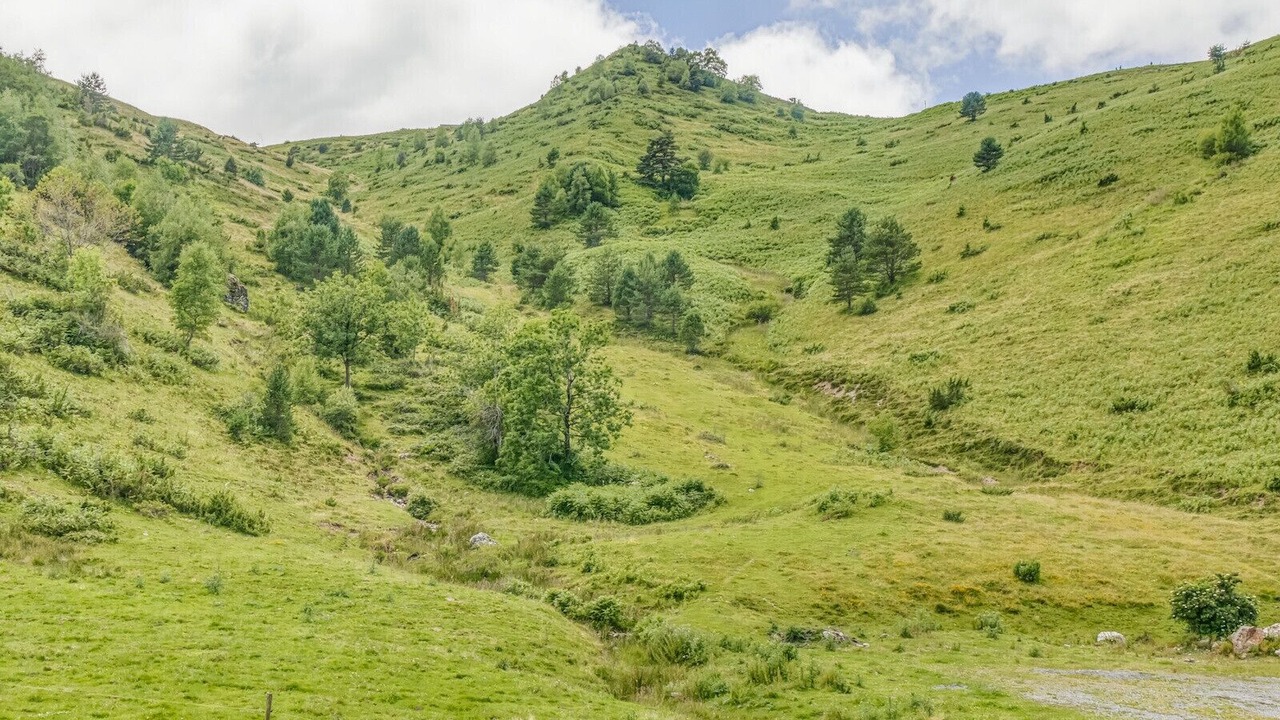 Photo of Others in Adervielle-Pouchergues