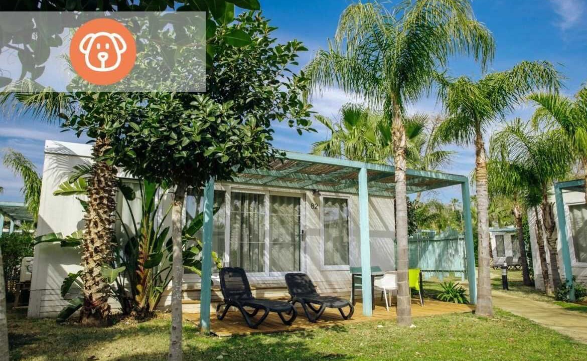 Photo of Patio Balcony in Miami Platja
