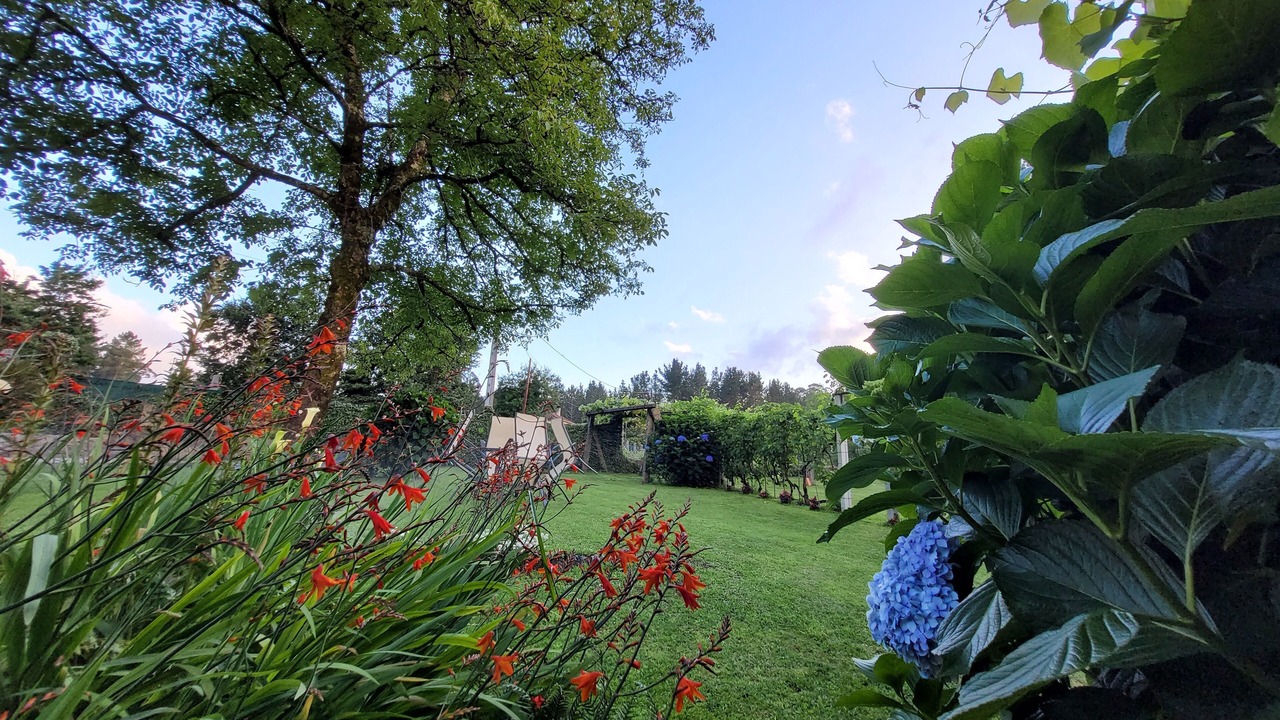 Photo of Outdoor in Morana