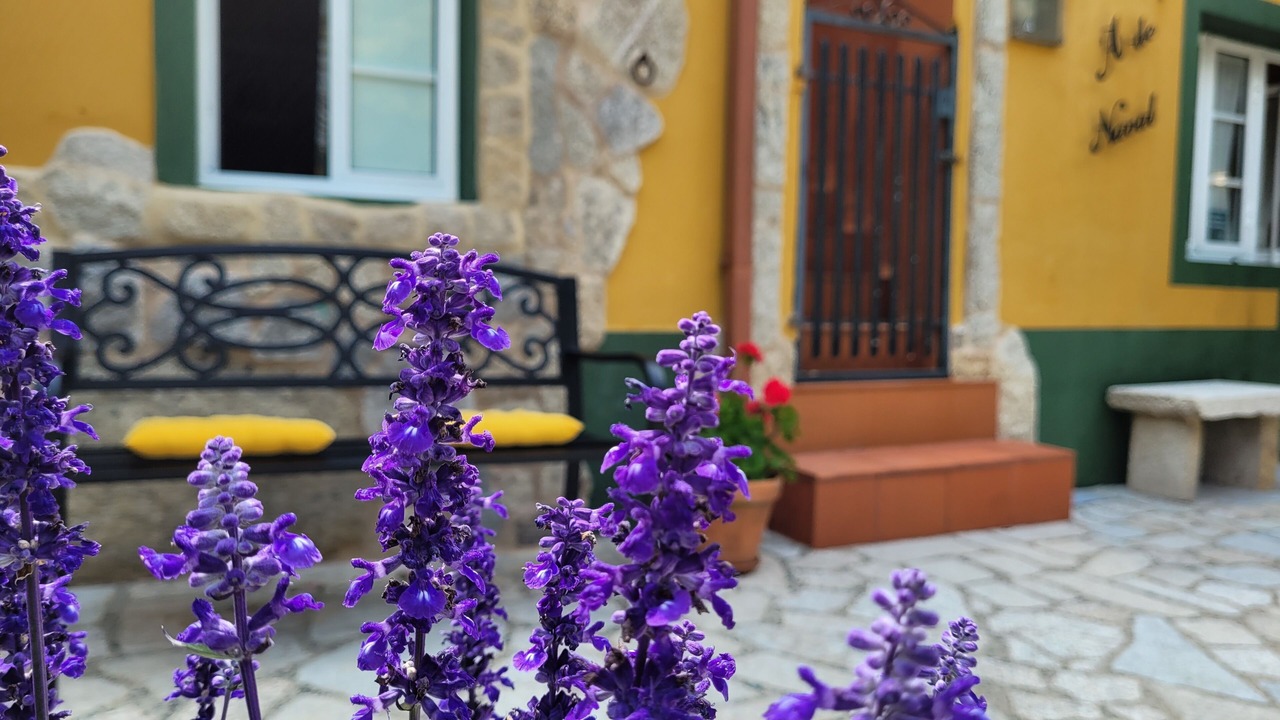 Photo of Outdoor in Morana