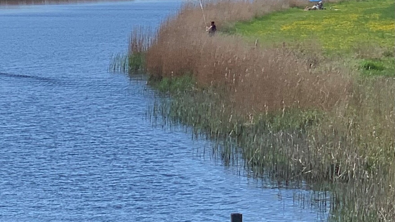 Photo of Others in Breiholz