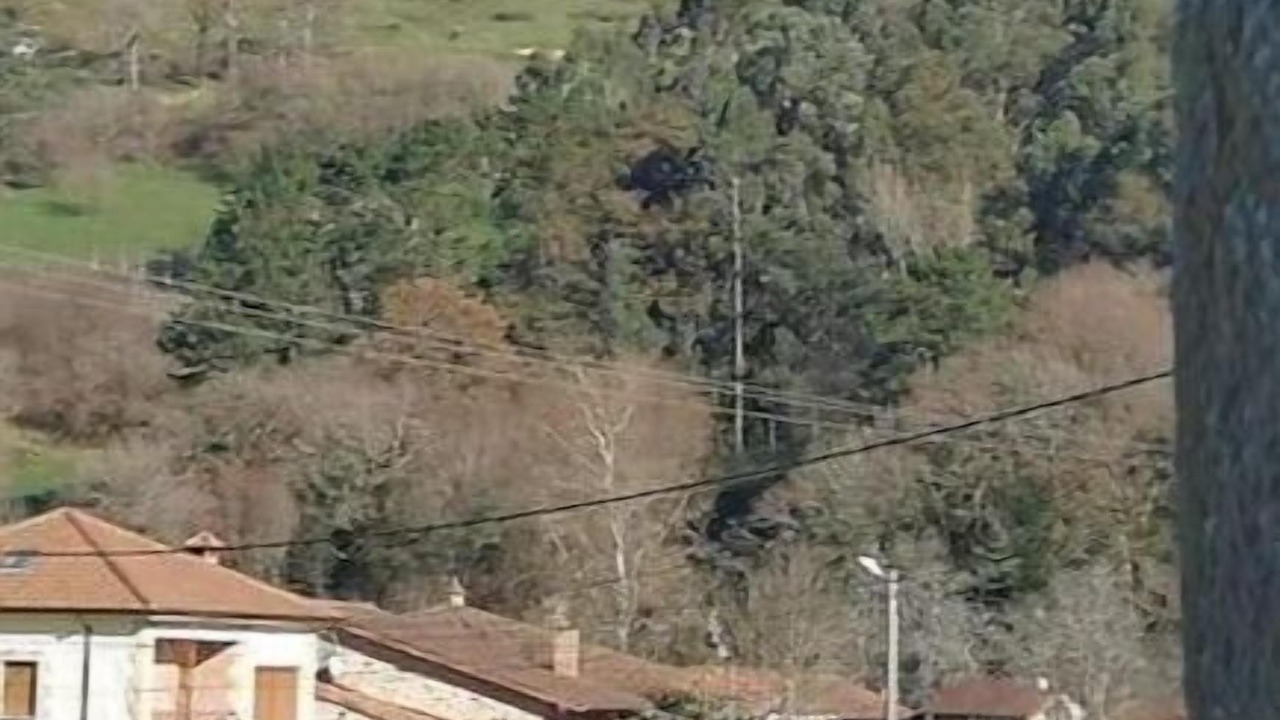 Photo of Others in Santa Maria de Cayon