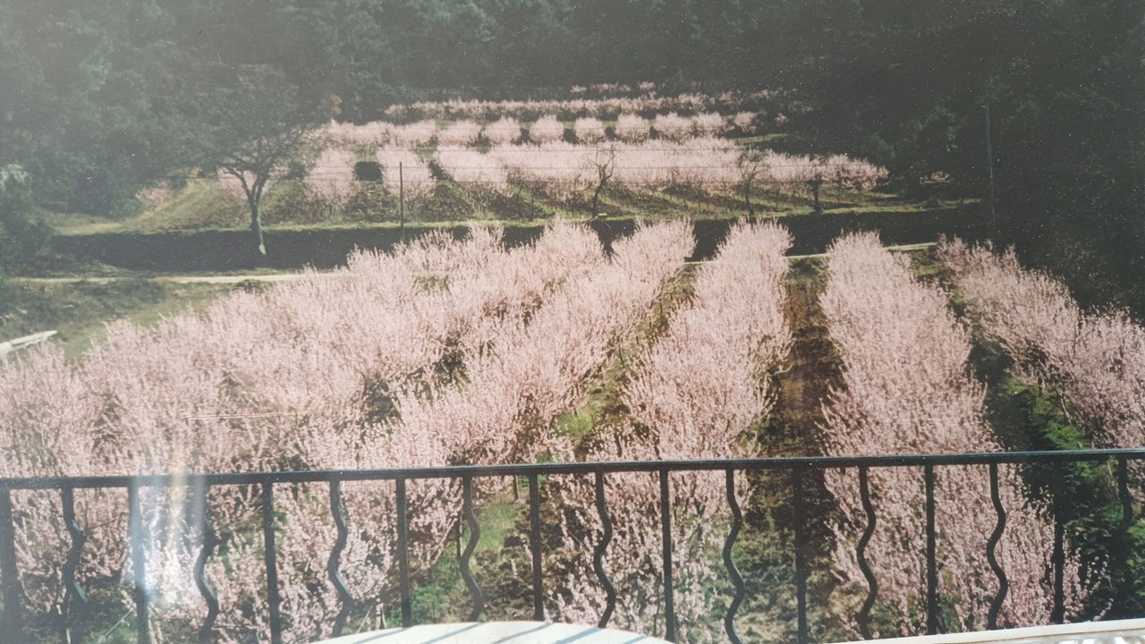 Photo of Outdoor in Peyrolles-en-Provence