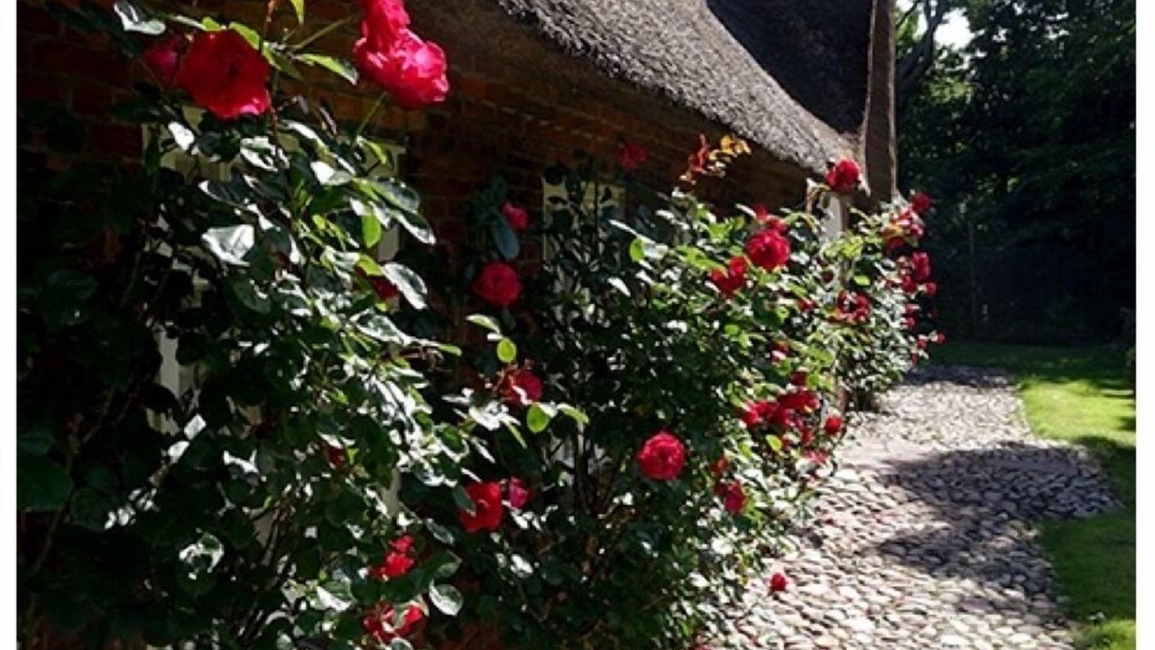 Photo of Outdoor in Emmelsbuell-Horsbuell