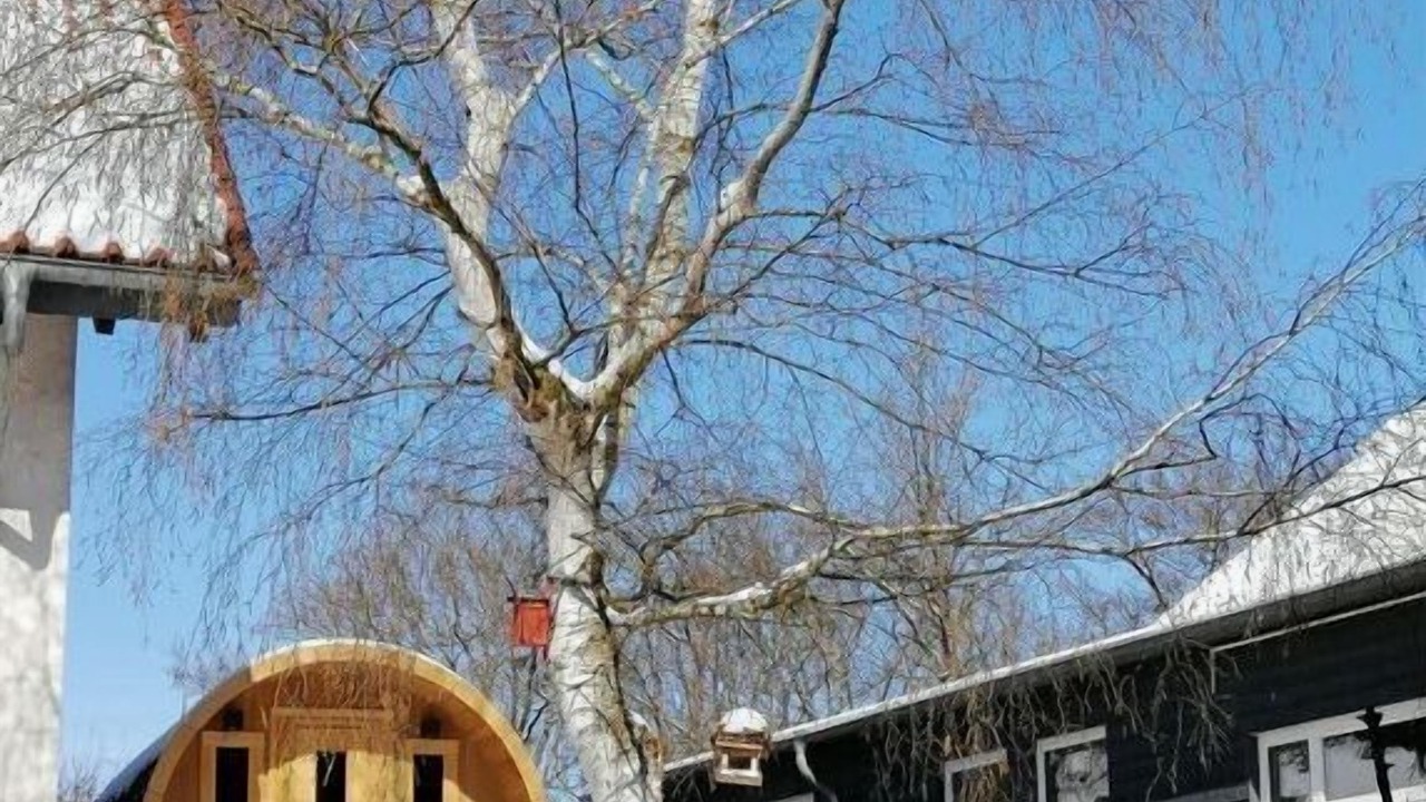 Photo of Outdoor in Nieder-Werbe