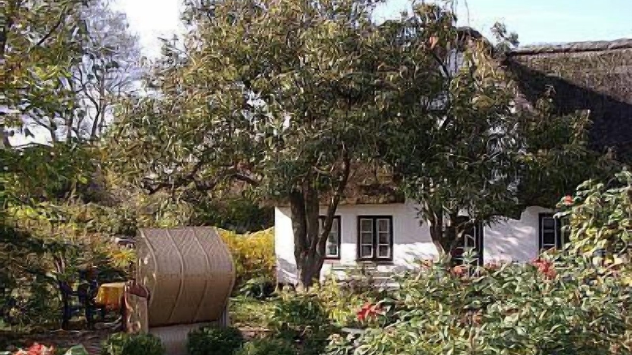 Photo of Outdoor in Midlum