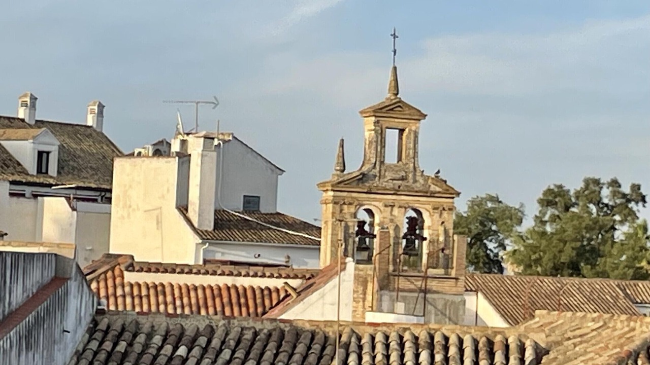 Photo of Others in La Catedral