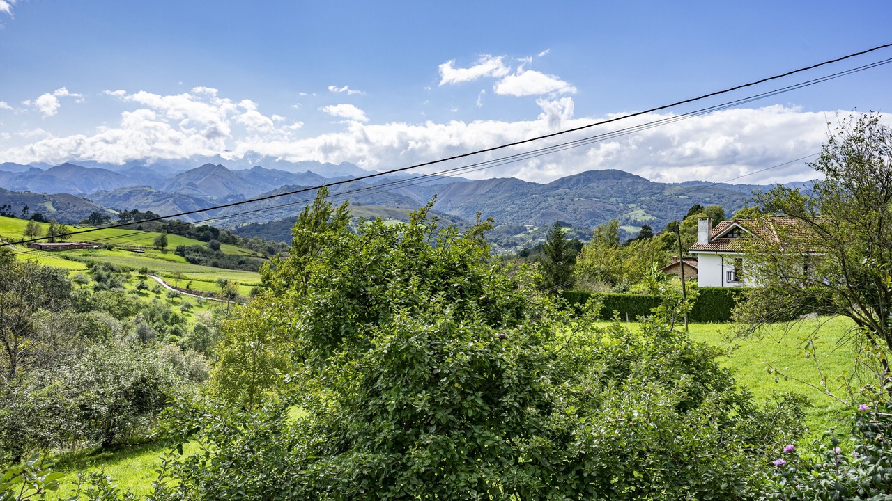Photo of Outdoor in Llenin