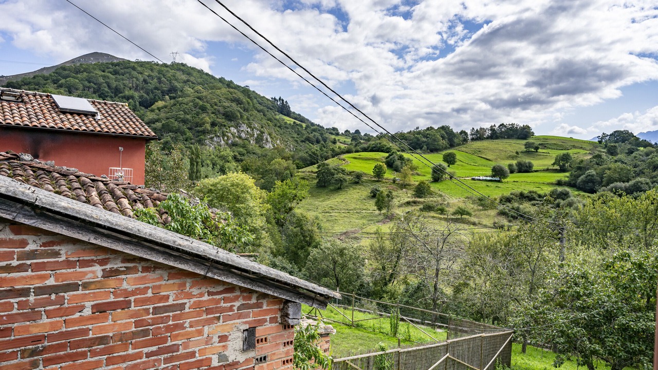 Photo of Outdoor in Llenin