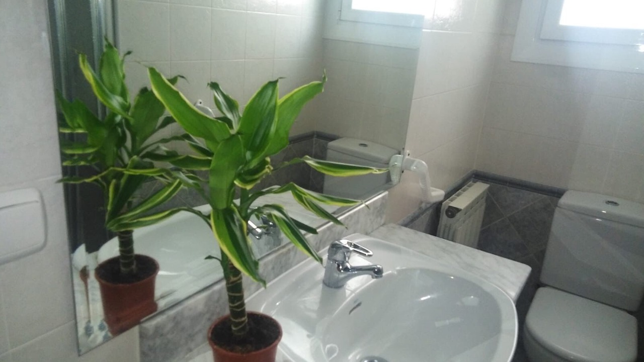 Photo of Bathroom in Segundo Ensanche
