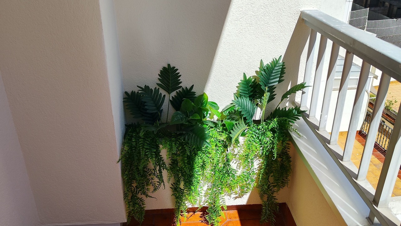 Photo of Outdoor in Sanxenxo