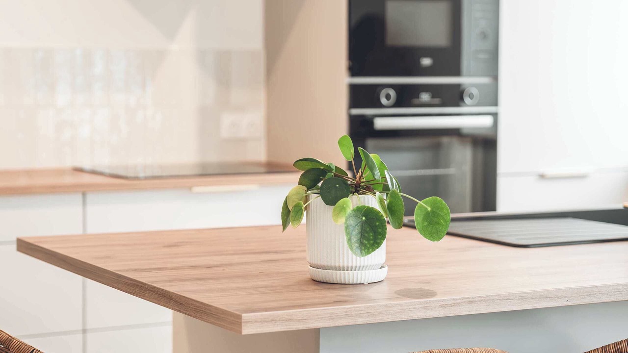 Photo of Kitchen in Premanon