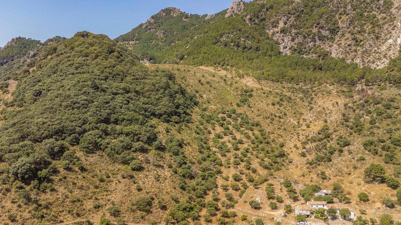 Photo of Others in Grazalema