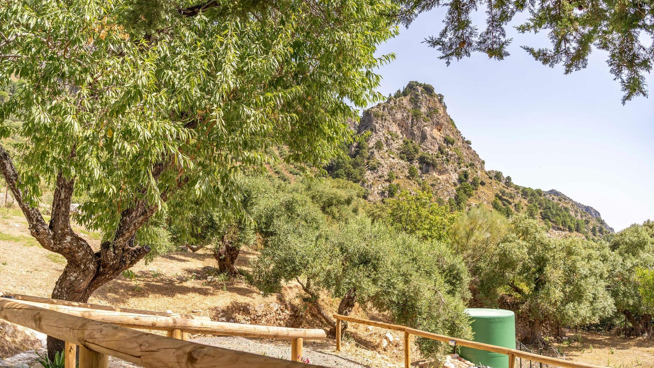 Photo of Bedroom in Grazalema