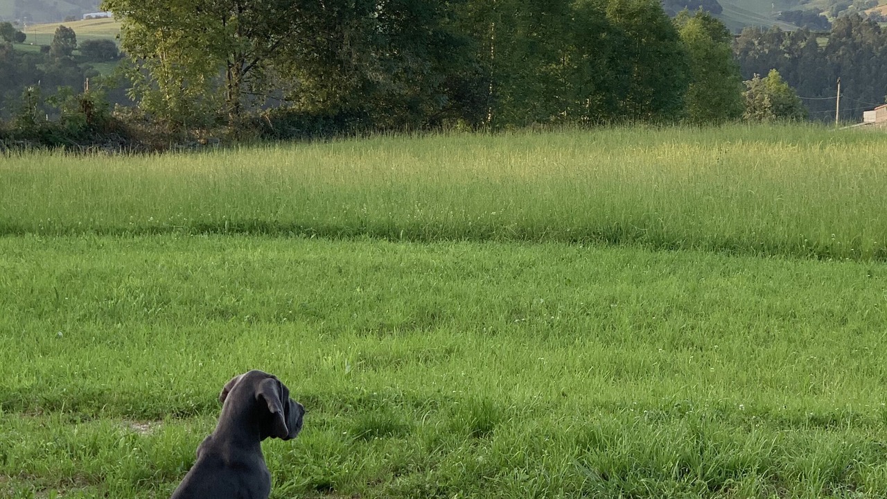Photo of Outdoor in Lierganes