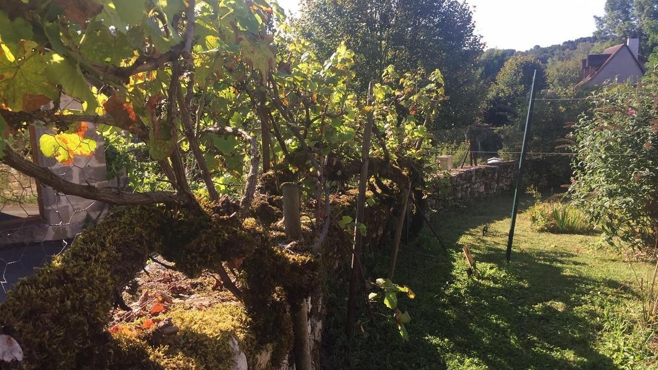 Photo of Outdoor in Le Bourg