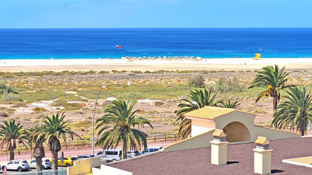 Photo of Others in Solana del Matorral