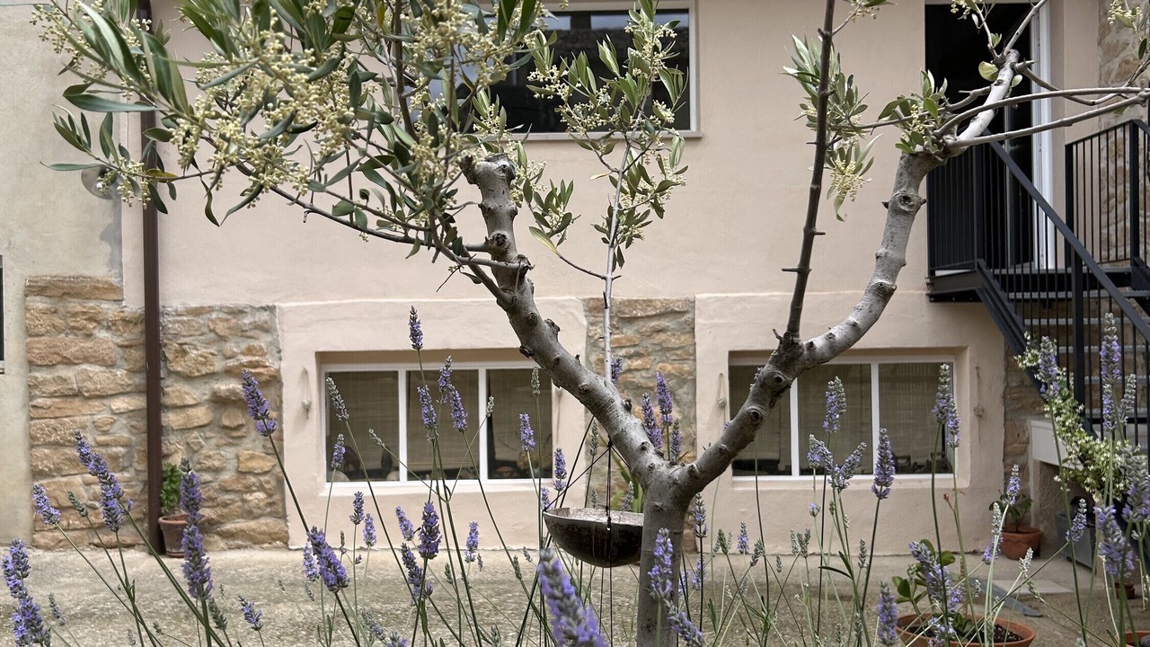 Photo of Outdoor in Morentin