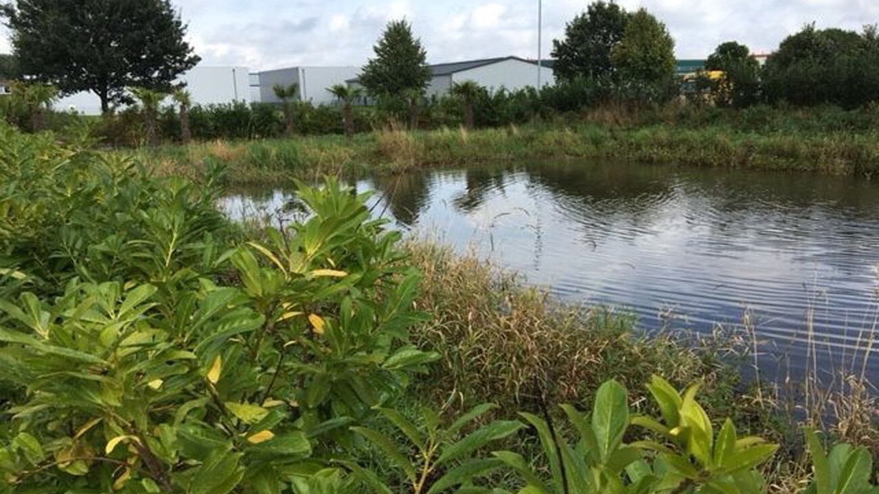 Photo of Outdoor in Brinkum