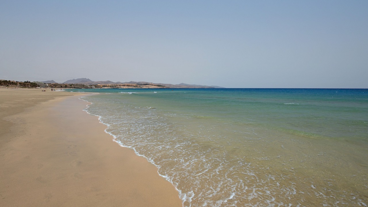 Photo of Others in Bahia Calma