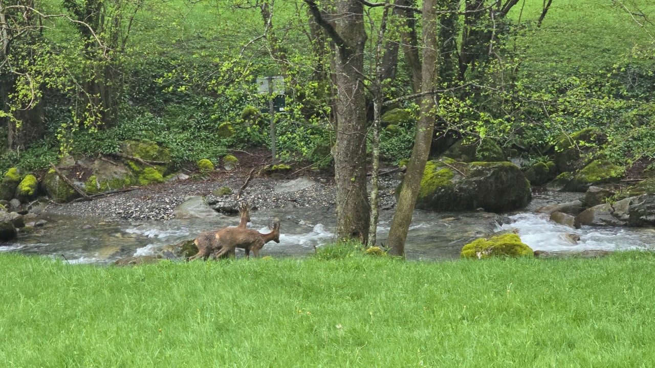 Photo of Others in Sainte-Marie-de-Campan