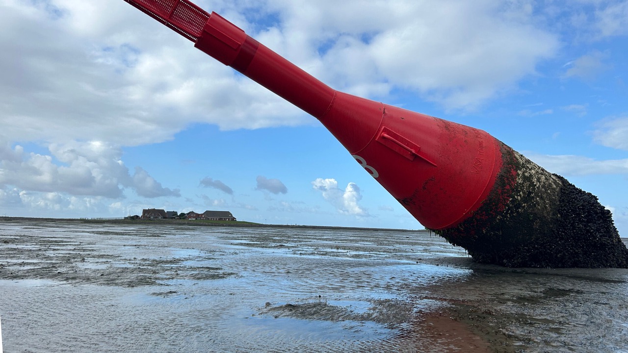 Photo of Others in Hallig Langeneß
