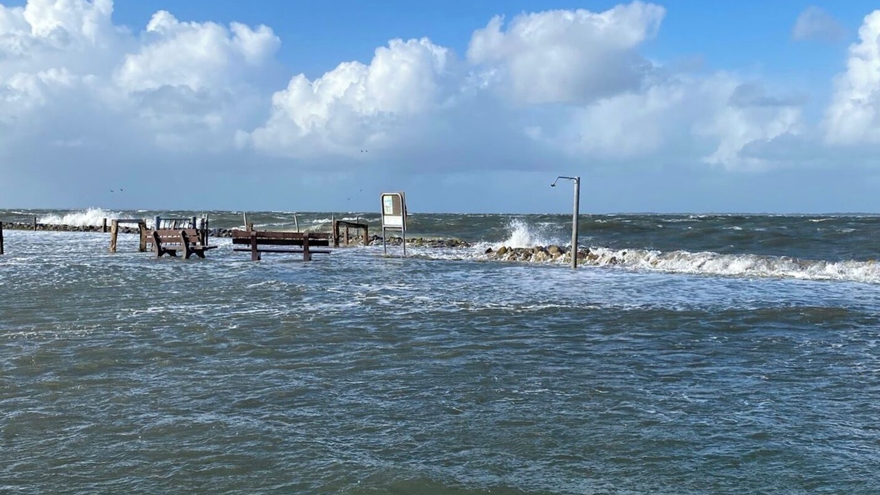 Photo of Others in Hallig Langeneß