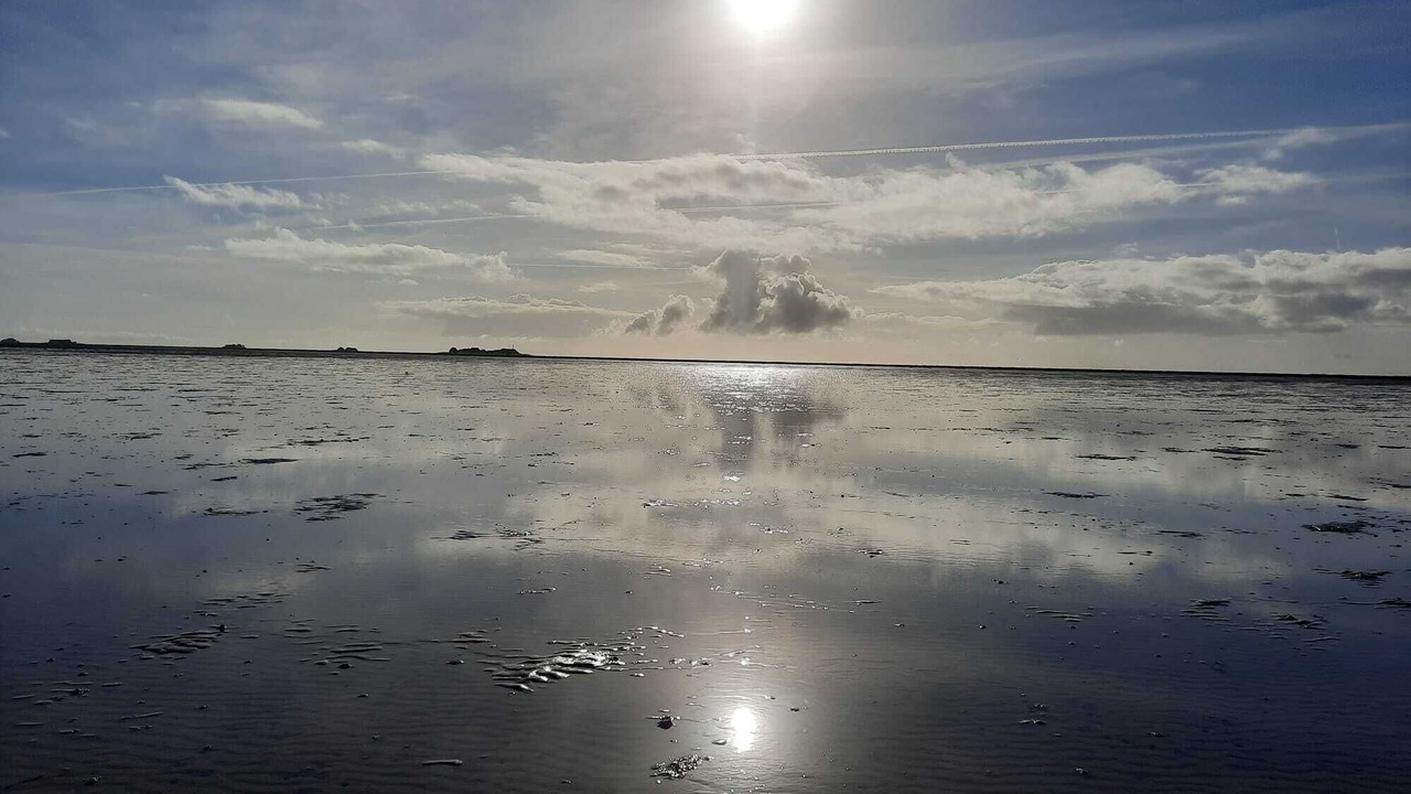 Photo of Others in Hallig Langeneß