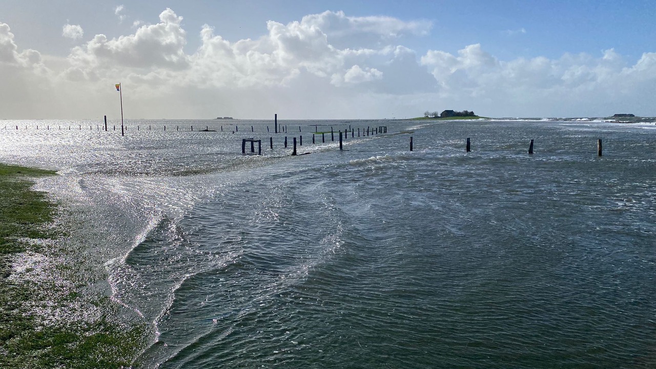 Photo of Others in Hallig Langeneß