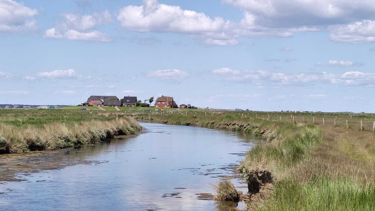 Photo of Others in Hallig Langeneß
