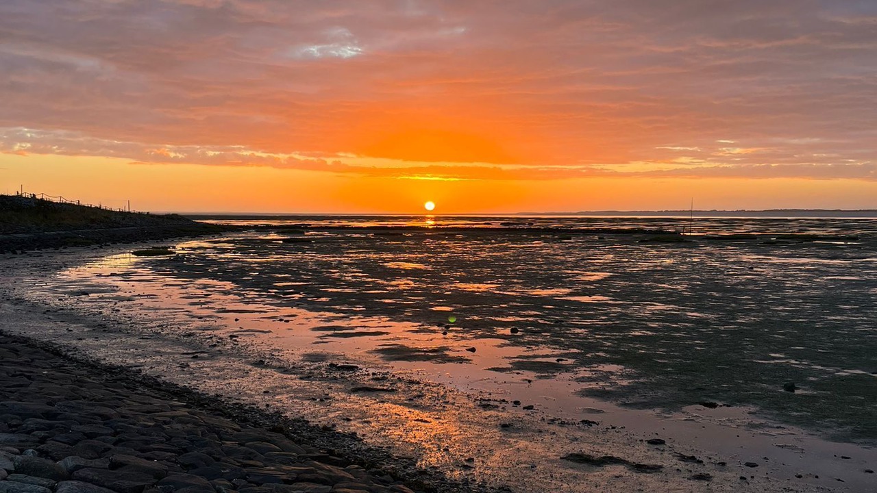 Photo of Others in Hallig Langeneß