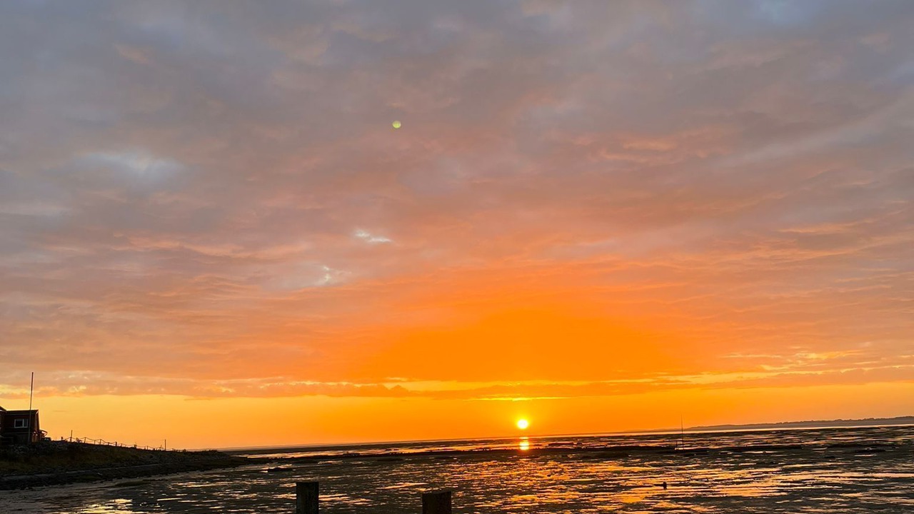 Photo of Others in Hallig Langeneß