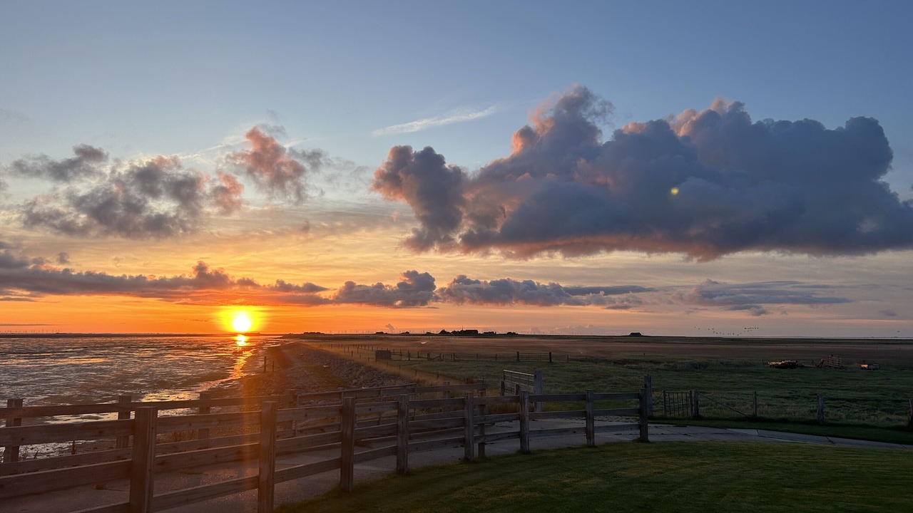 Photo of Others in Hallig Langeneß