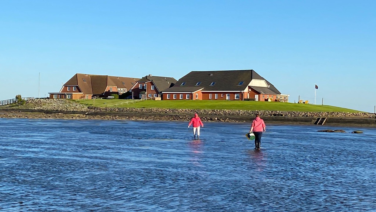 Photo of Others in Hallig Langeneß