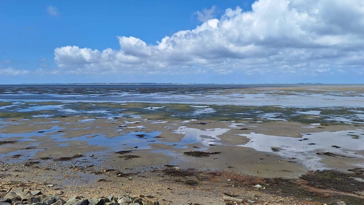 Photo of Others in Hallig Langeneß