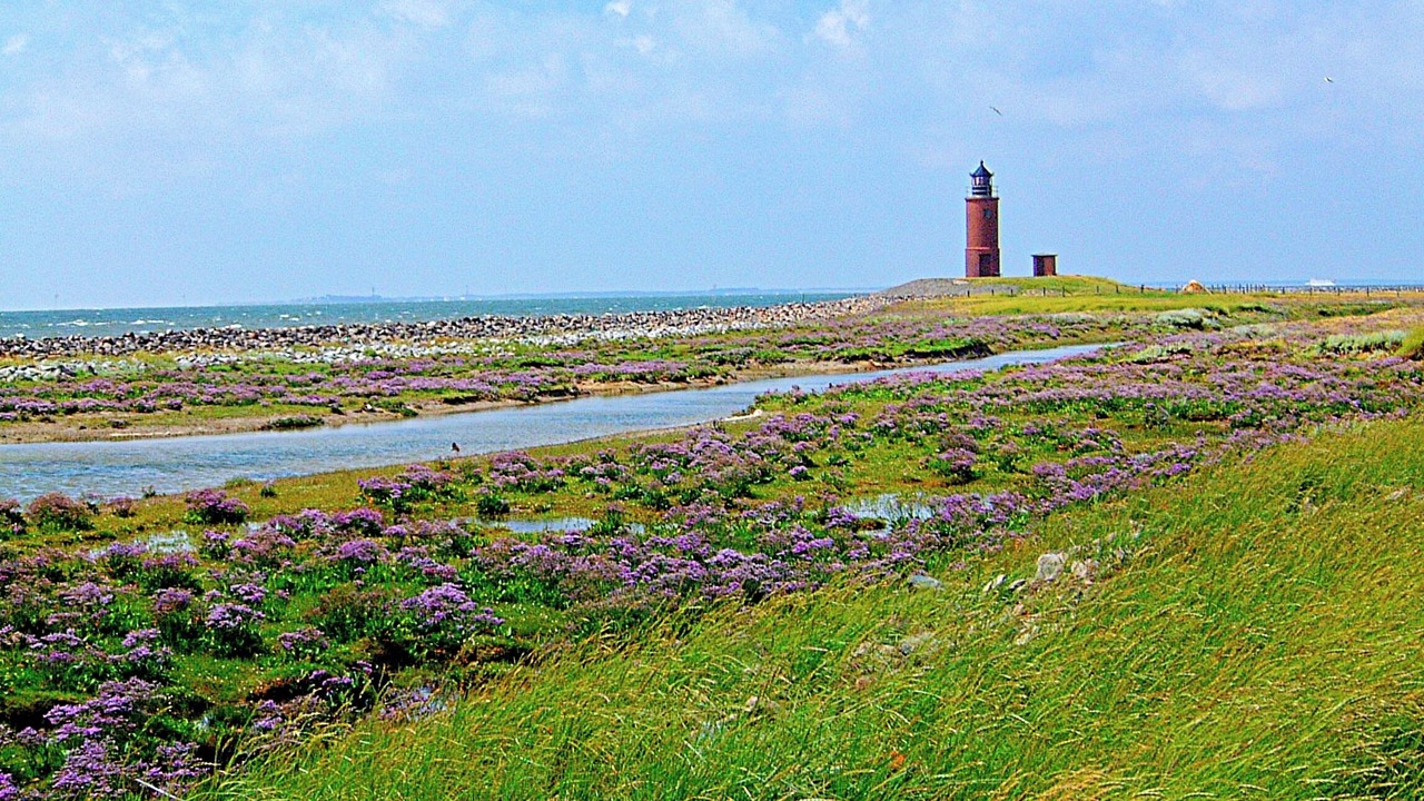 Photo of Others in Hallig Langeneß