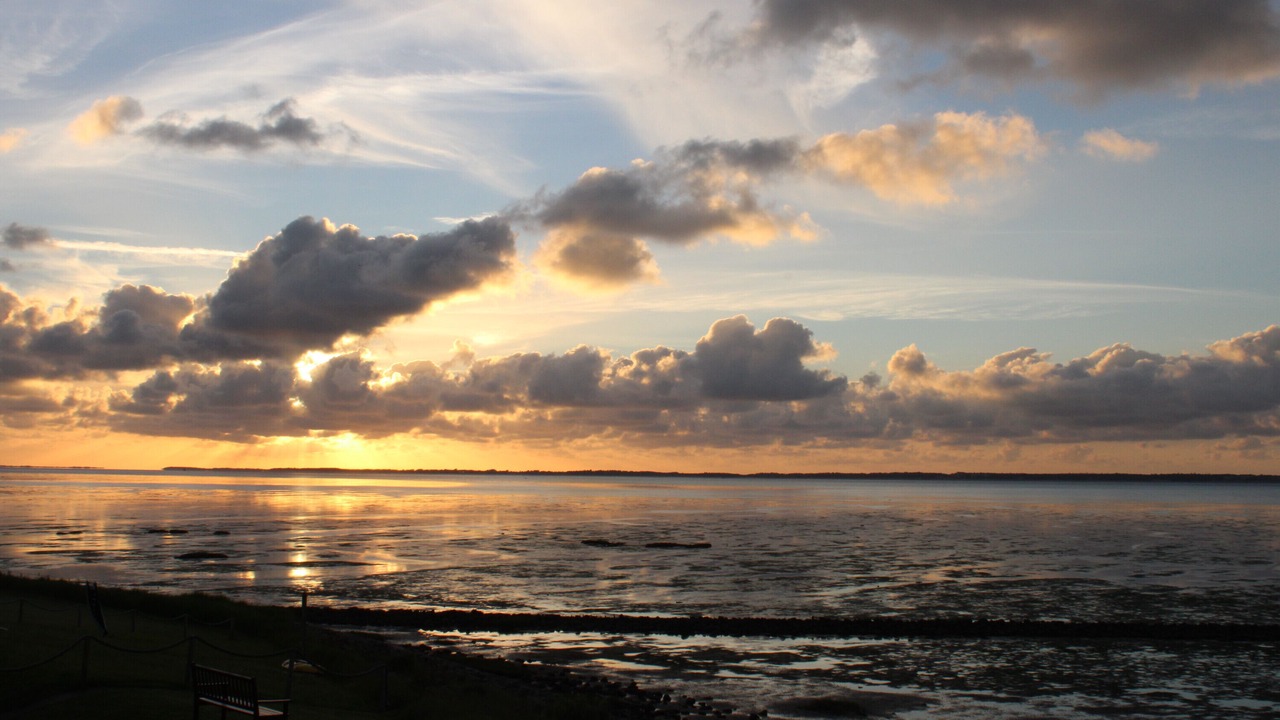Photo of Others in Hallig Langeneß