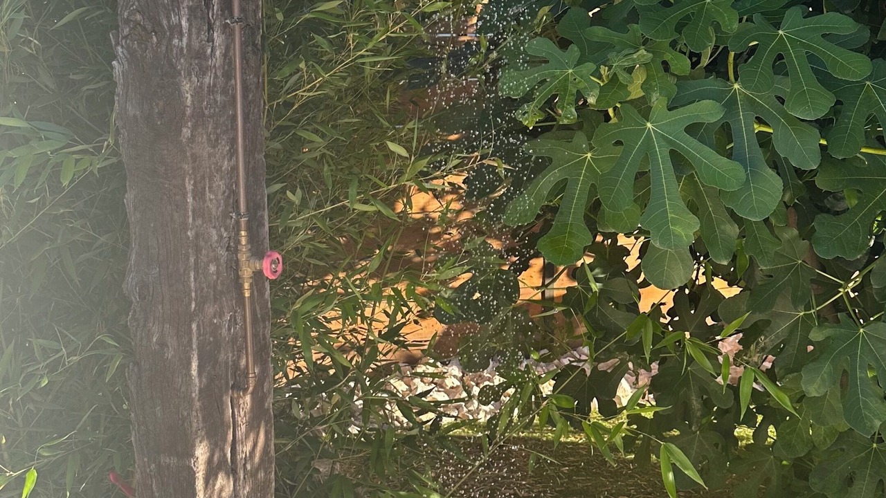 Photo of Outdoor in Boisset-et-Gaujac