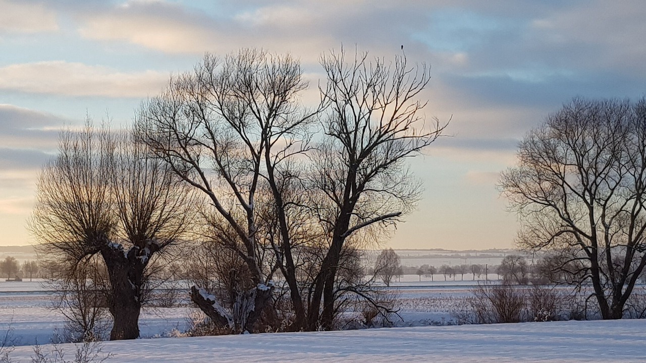 Photo of Others in Niedernjesa