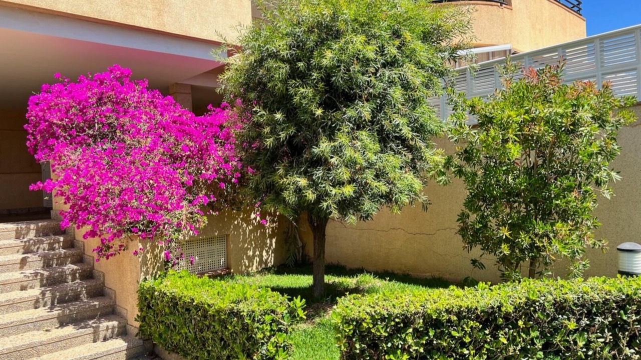 Photo of Outdoor in Salobrena