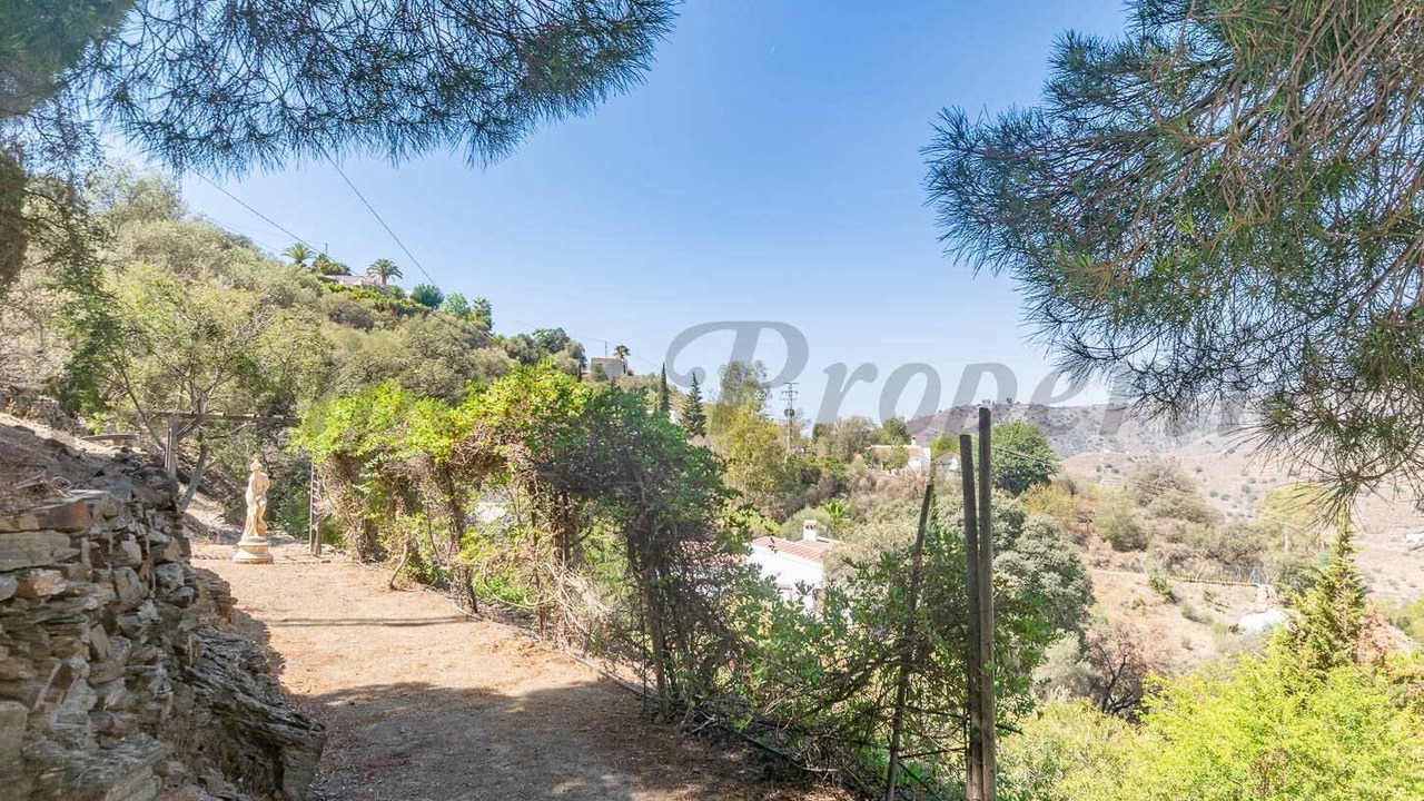 Photo of Others in Torrox