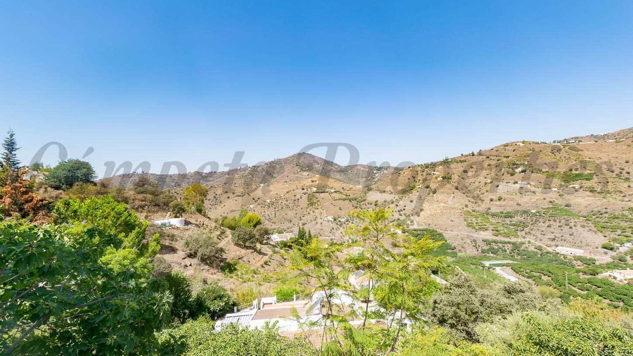 Photo of Others in Torrox
