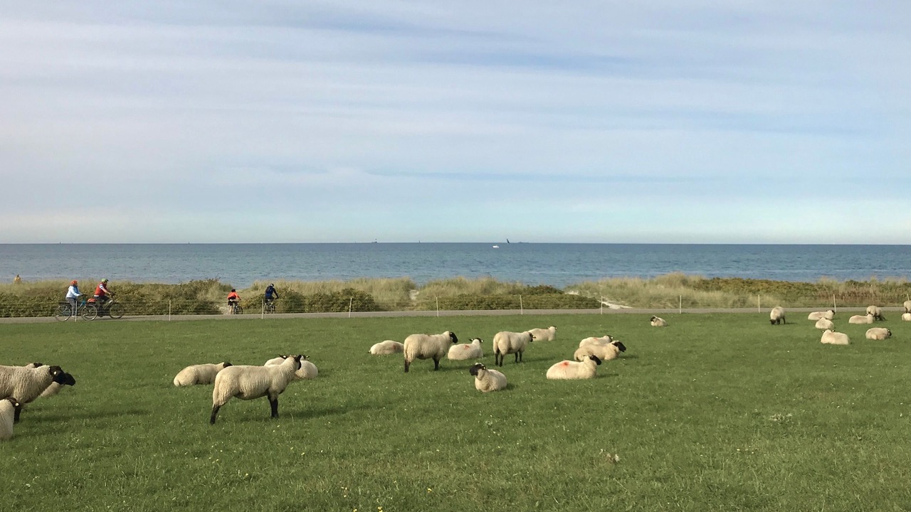 Photo of Others in Wendtorfer Strand