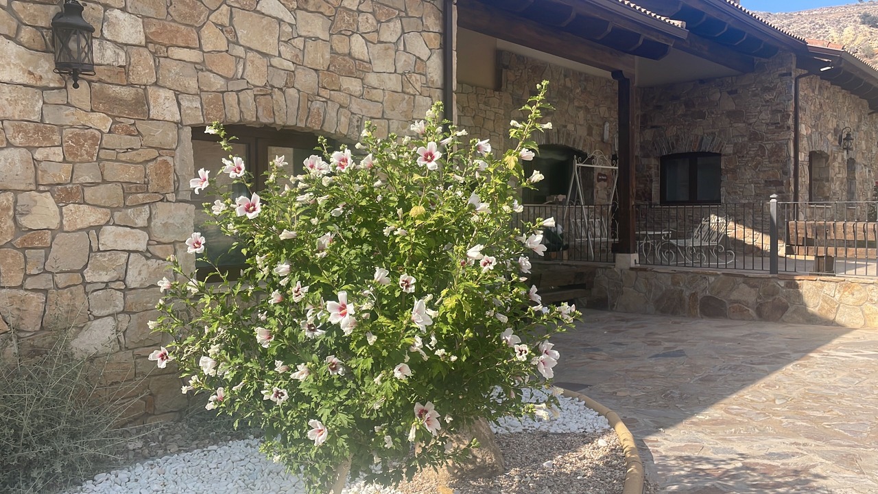 Photo of Outdoor in Fuentiduena