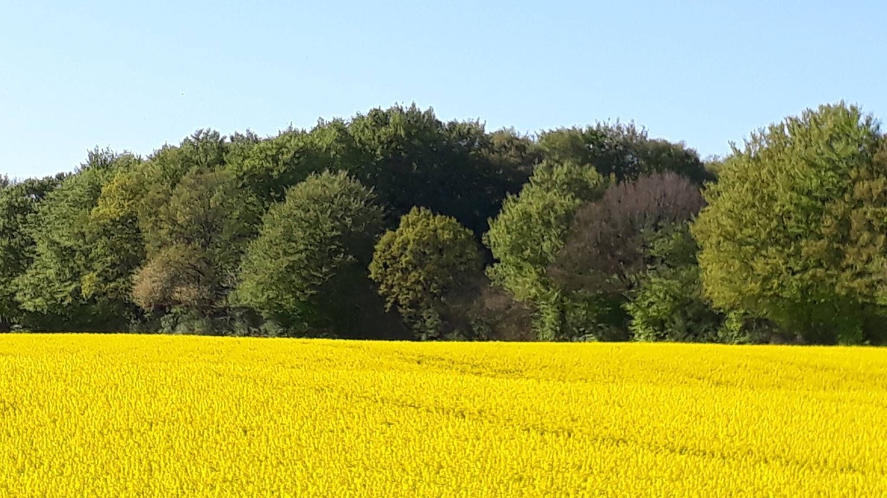 Photo of Others in Munkbrarup
