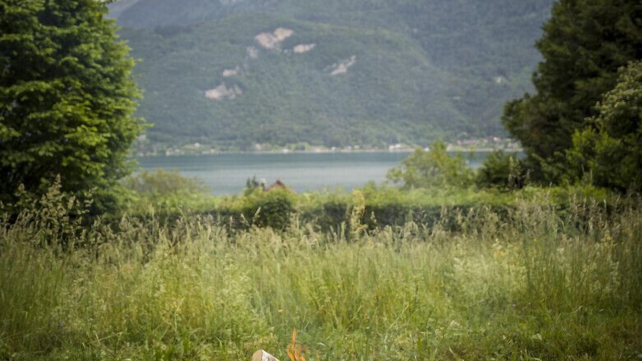 Photo of Others in Bredannaz