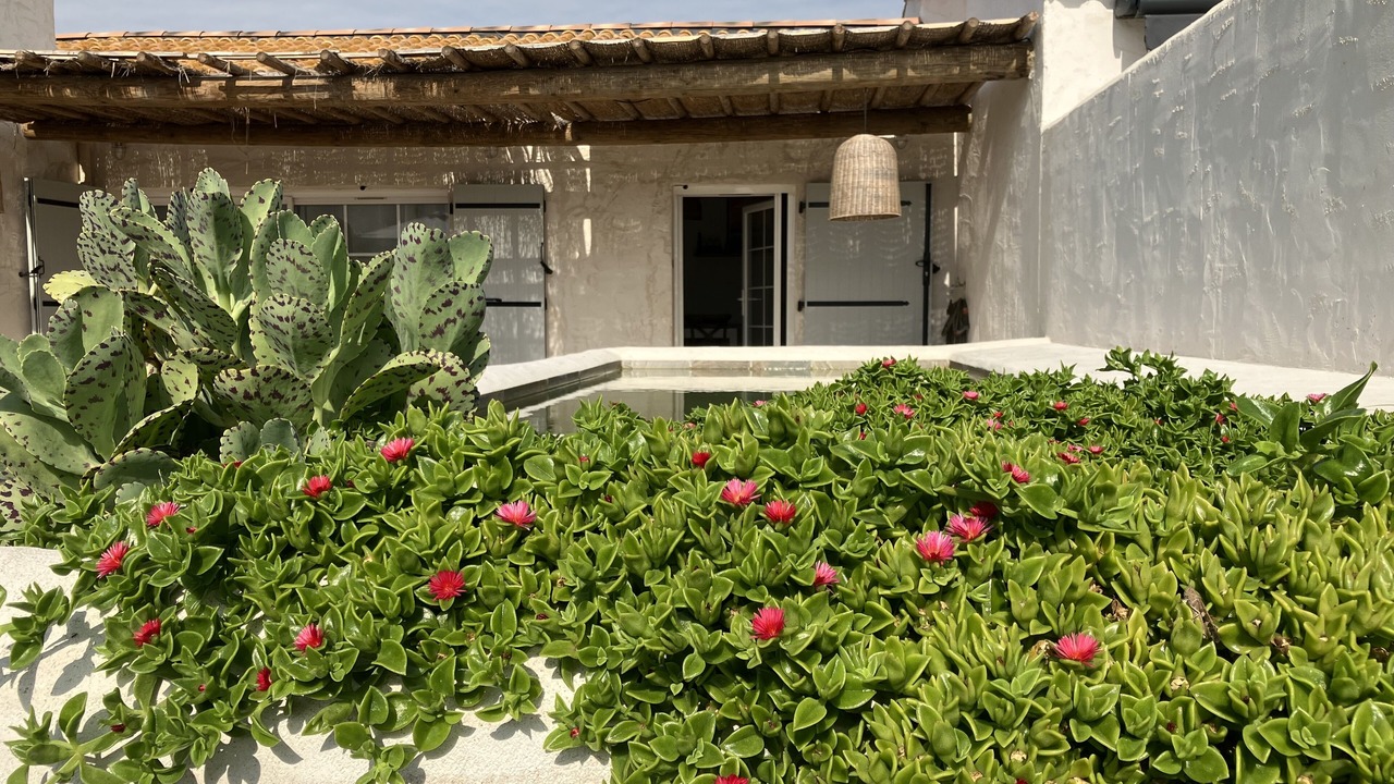 Photo of Outdoor in Saintes-Maries-de-la-Mer