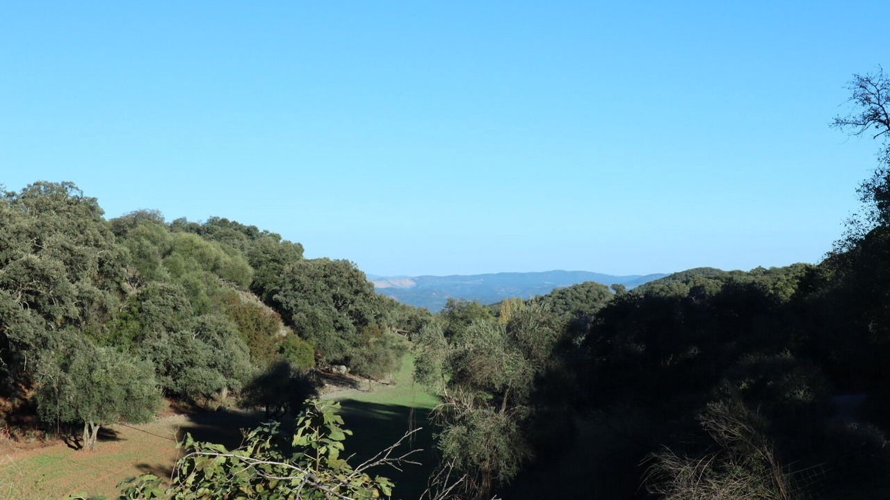 Photo of Others in Aracena
